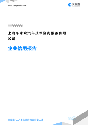 上海车家欢汽车技术咨询服务企业信用报告-天眼查