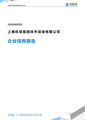上海机场集团技术咨询(企业信用报告)- 天眼查